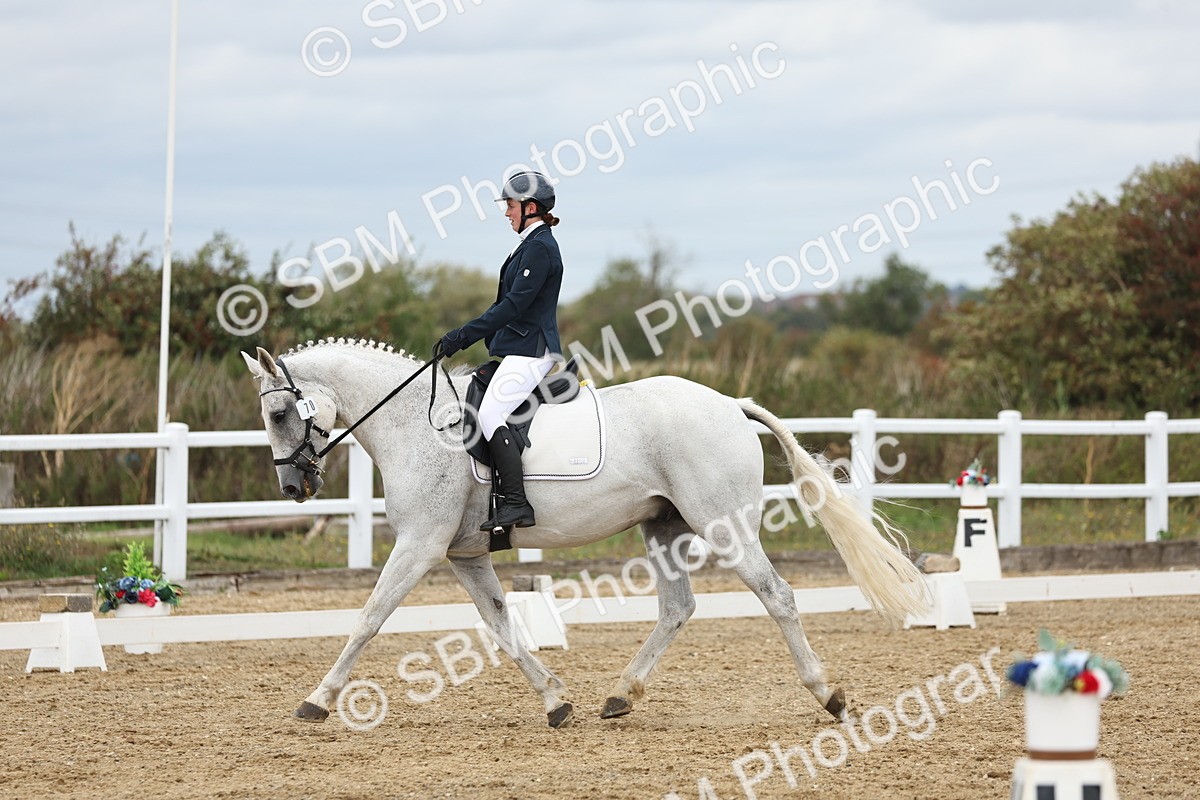 SBM_002656 - Class 7 - Novice 2 Warm Up