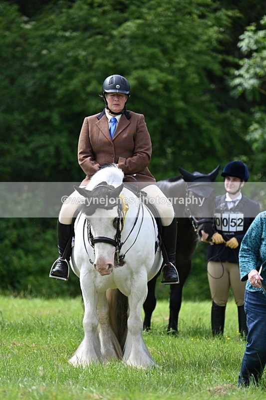 WJ7_1584 - Class 11 Condition & Turnout