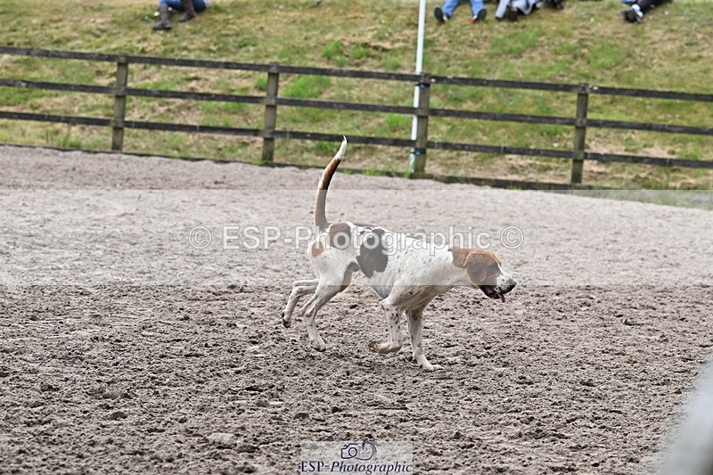 250524A-152558-12740 - East Devon Hounds