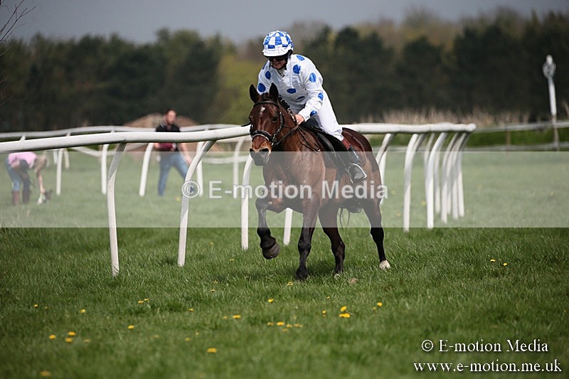 PtP 210418 44 - South & West Wilts Point-to-Point Larkhill 21/04/18