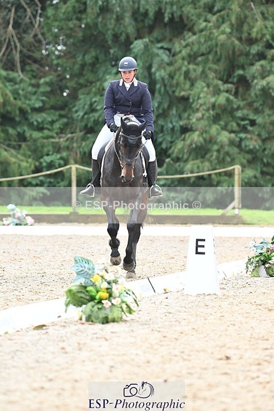 231019-130748-03299 - 121-KNOCKADERRY.MISTY.BAT-Harriet.Dickin-DR