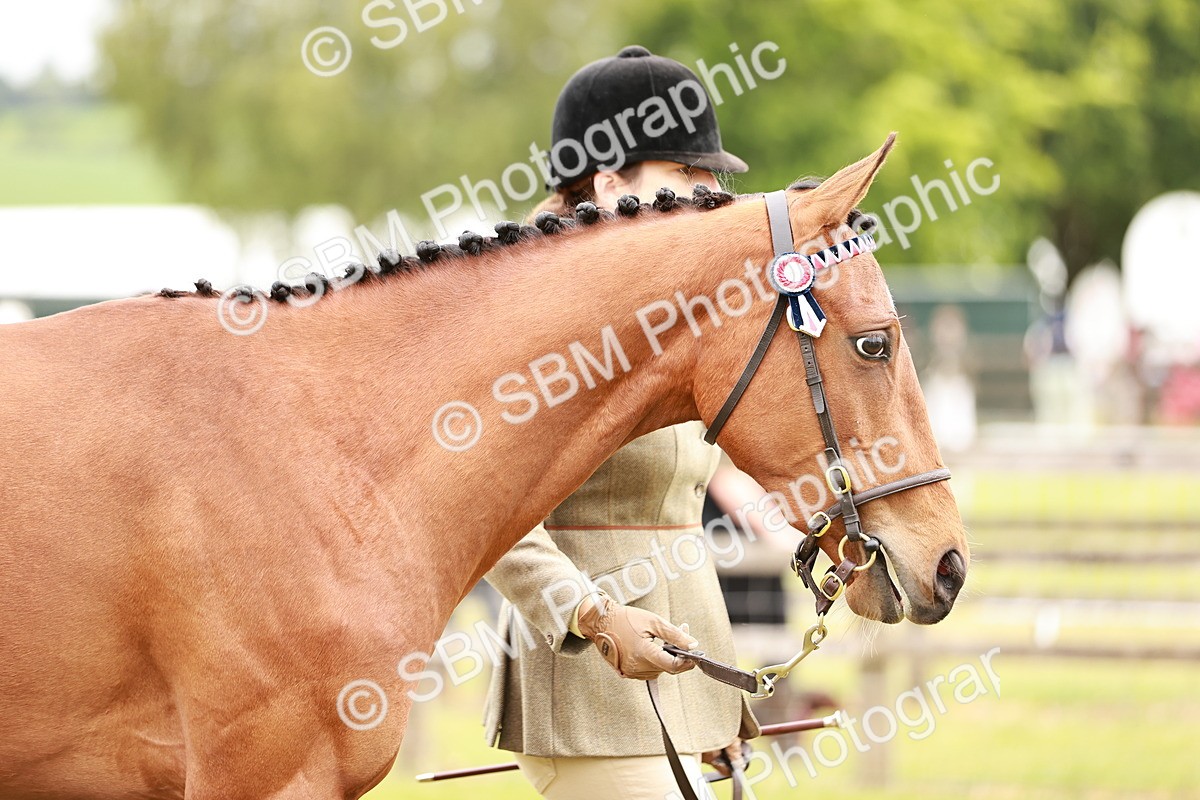 SBM_01711 - Class 31-34 Hack Breeding