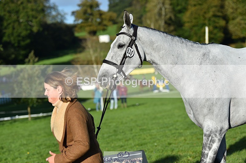 231022-095410-22102 - 630-ST.TROPEZ-Lizzie.Luxton-TrotUp+SJ