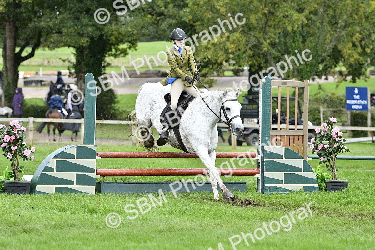 SBM_42266 - S32 - Mountain & Moorland Working Hunter Pony