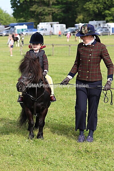 IMG_2137 - Working Hunter