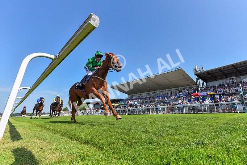 230626-Race 5-Percys Daydream-1401 - Race 5 16.17pm Humberside Airport Handicap