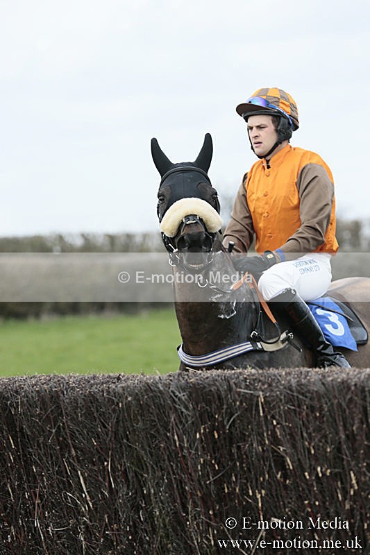 PtP 230319 66 - VWH Hunt Siddington Point-to-Point Racing 23/03/19
