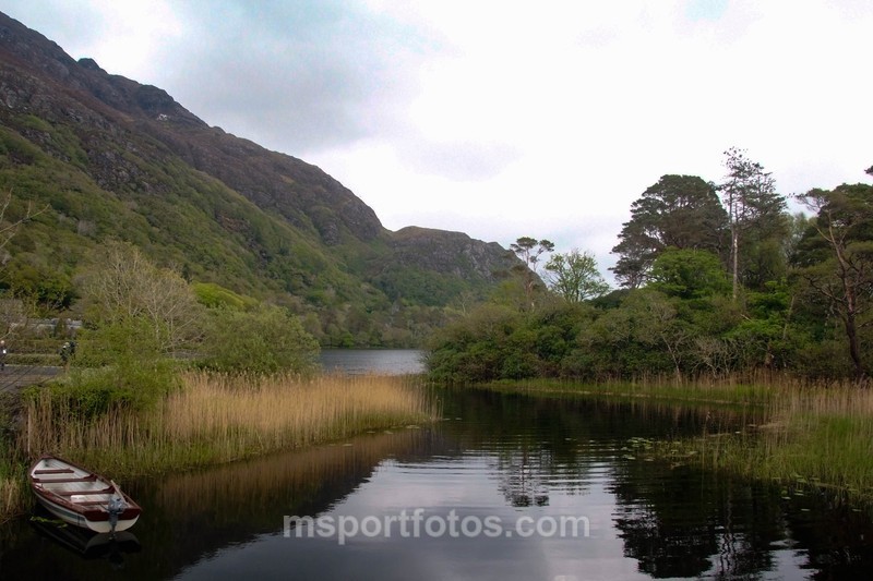 Near Kylemore Abbey entrance - Irelands landscapes