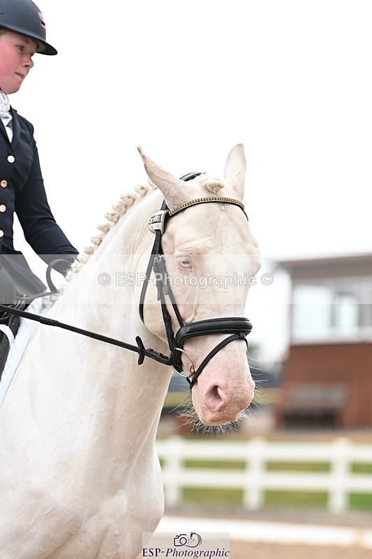 250705-175517-02294 - P2 Sections BDP2SNR, BDP2JNR 12.32 to 13.42