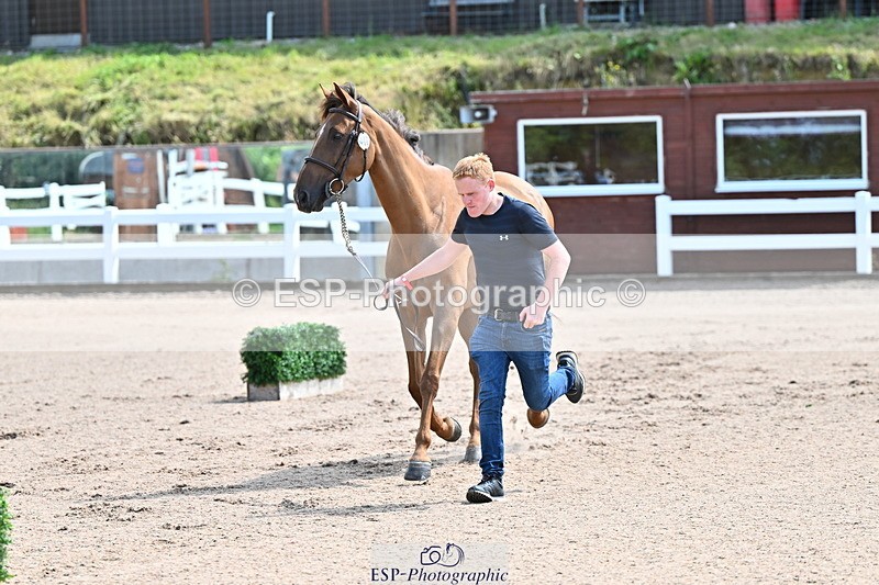 240718A-105238-00948 - Trot Up 11am to 12pm