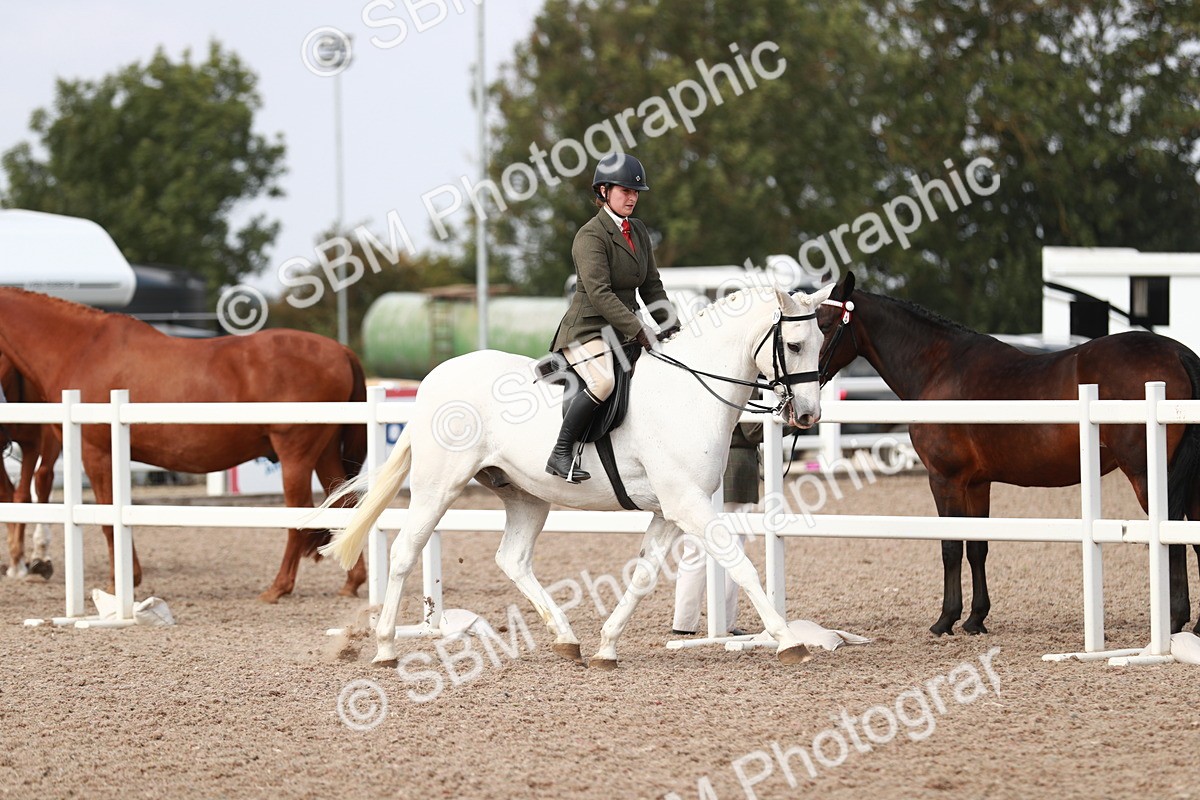 SBM_14808 - Class 212 Ridden Hunter - Small