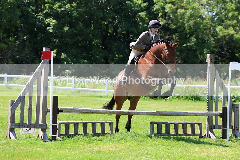3E7A6955 - Class 30: Novice Working Hunter