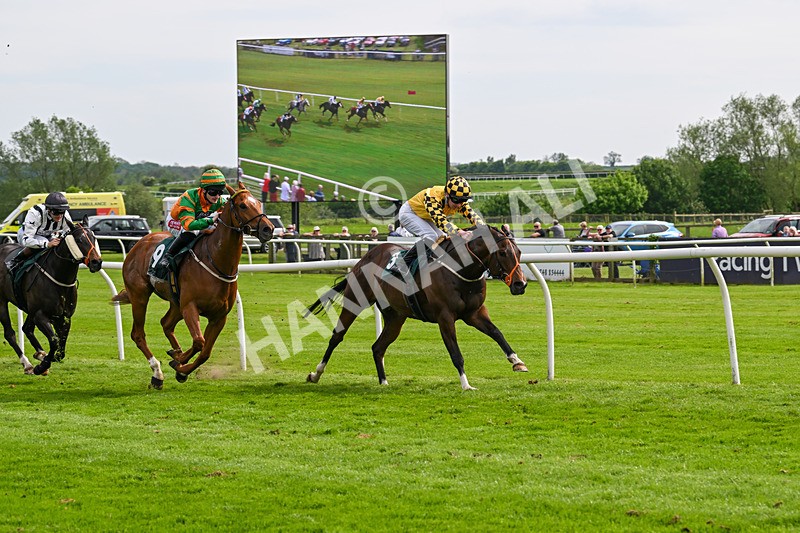 130524-Race 5-Sherdil-0595 - Race 5
