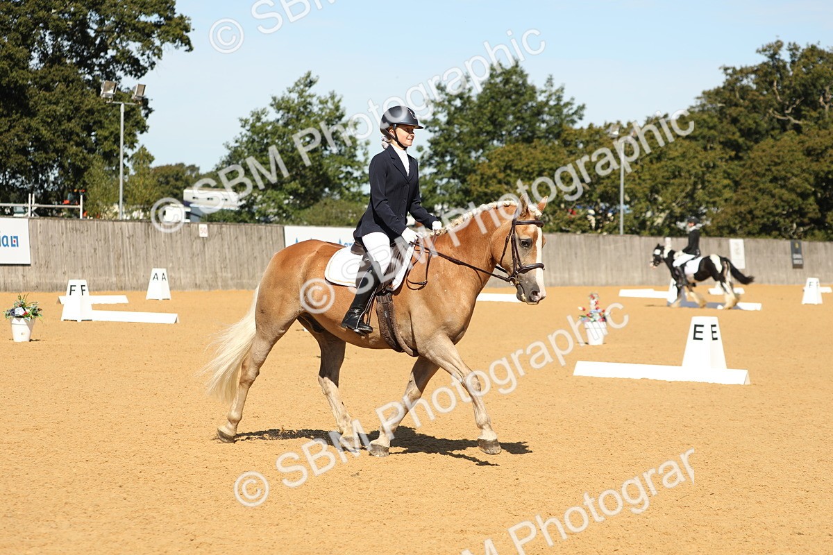 SBM_19730 - D10 - Small Tour Championship - Prelim 2