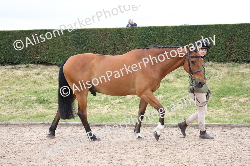 20250524-0950 - Class 9 - Cob and Hunter