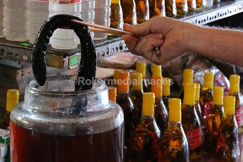 VIET_0237 - Vietnam 2017