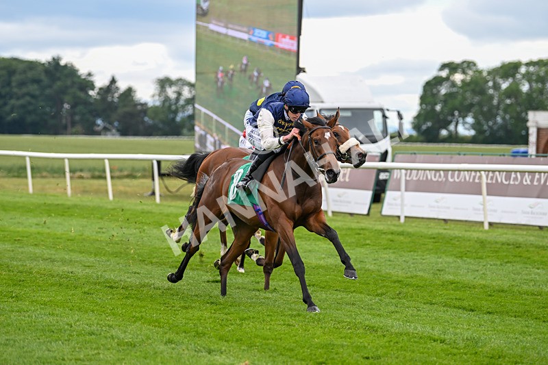 170625-Race 1-Royal Fixation-4343 - Race 1