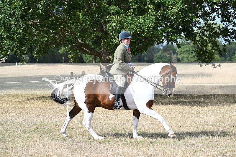 WJ7_7517 - Class 14 Ridden Coloured