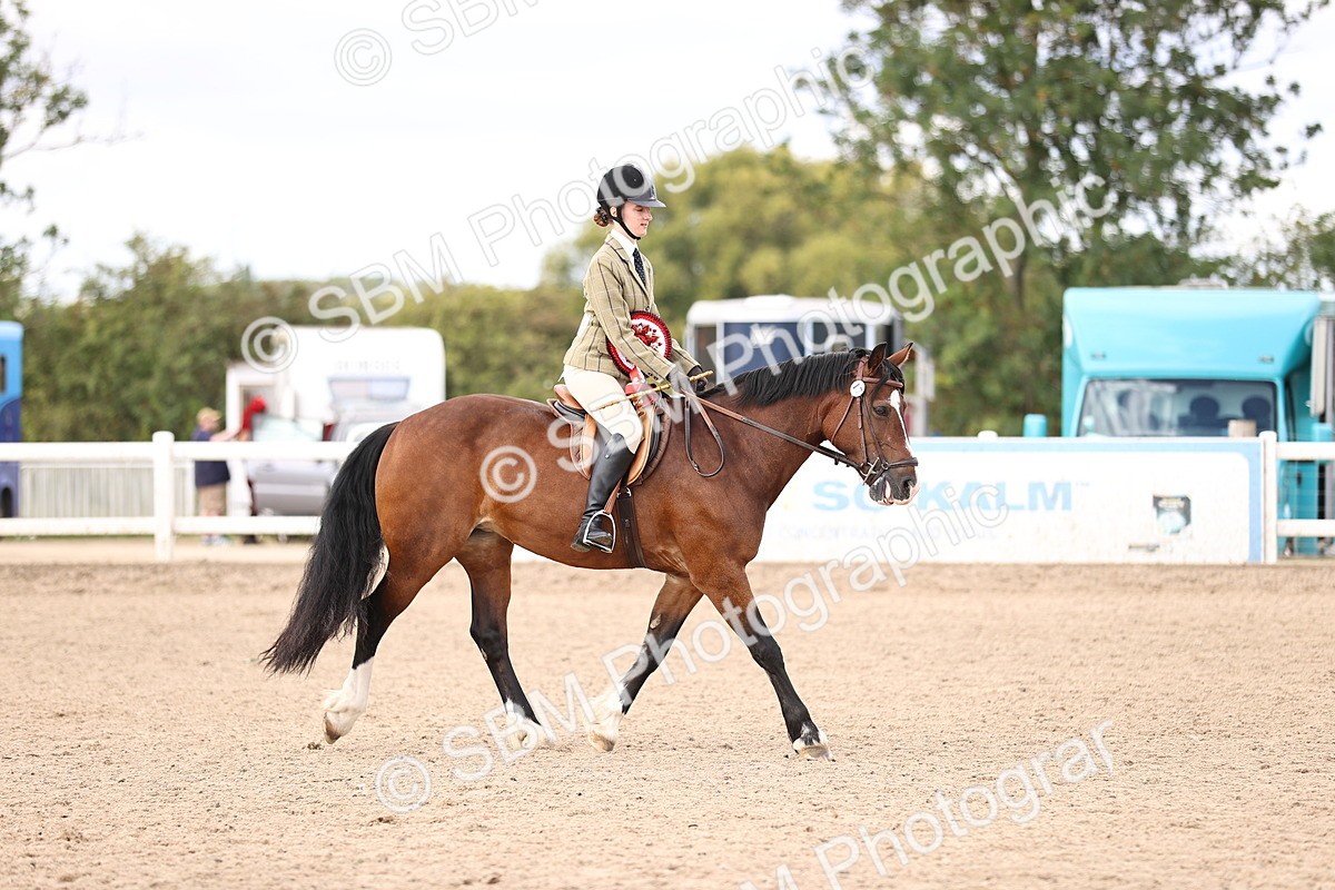 SBM_11705 - Class 408 - Grassroots Ridden - Walk & Trot