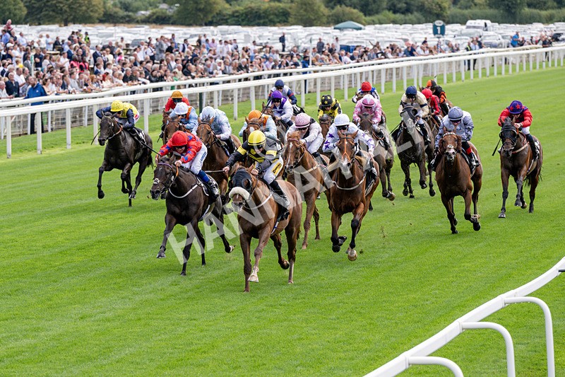 190826-Race 1-Air Force One-0131 - Race 1 13.50pm Hong Kong Jockey Club World Pool Handicap