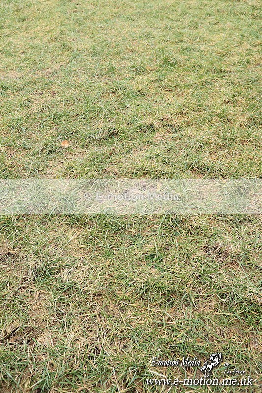 PtPres 16022521 - Presentations Combined Services PtP 16/02/25