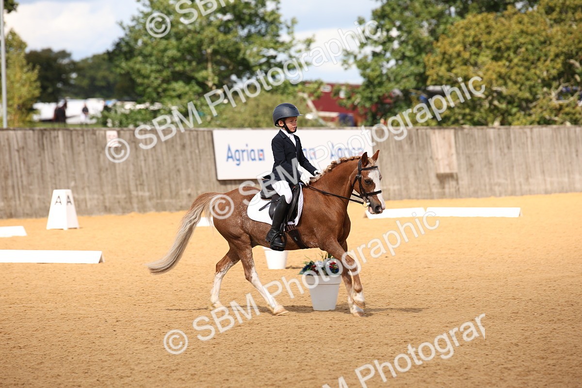 SBM_06764 - D8 Small Tour Championship Prelim 7