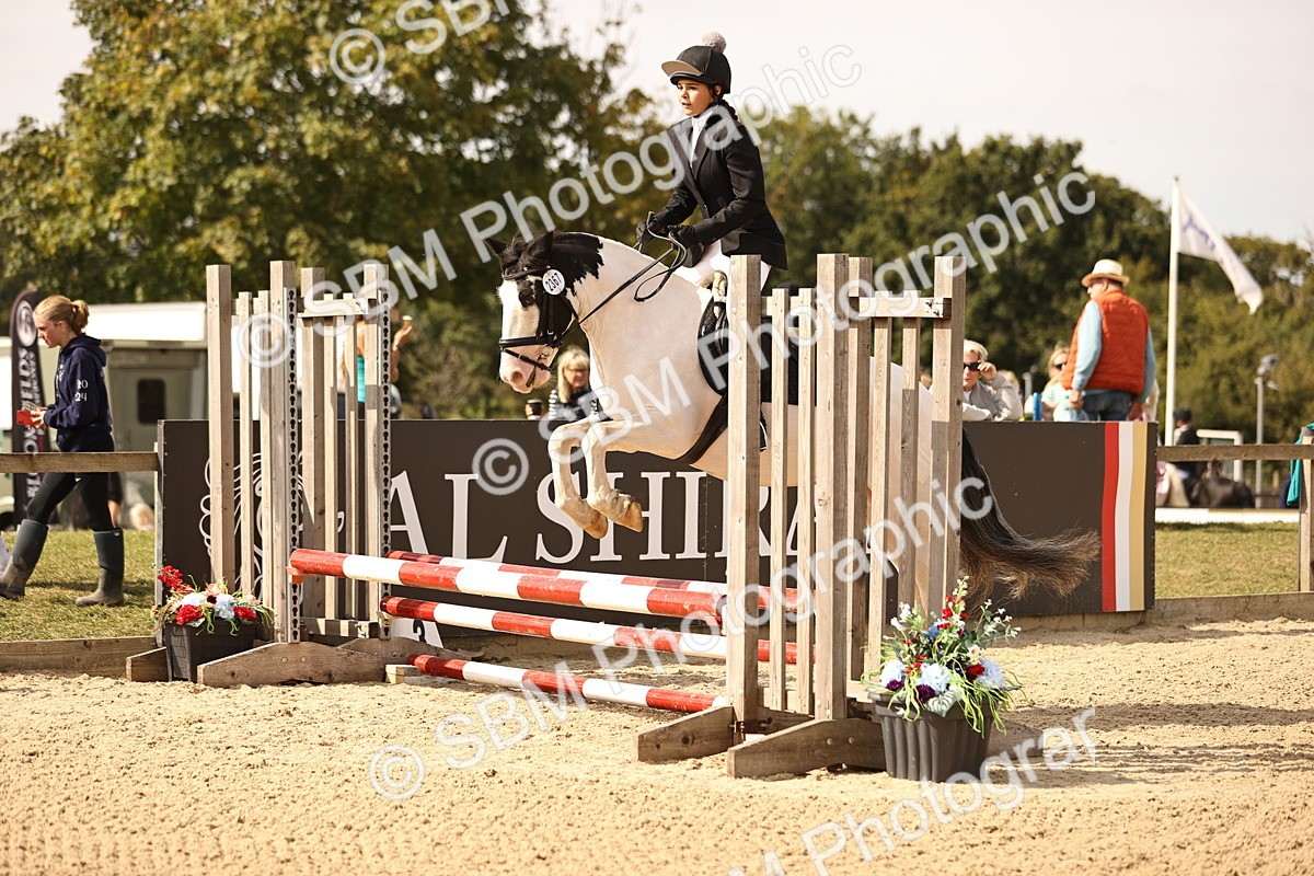 SBM_66976 - J13 - Junior Pony 60cm Championship