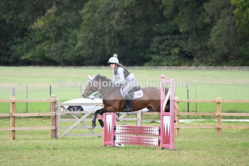 WJ6_1731 - 60cm Time 12:11 to 12:28