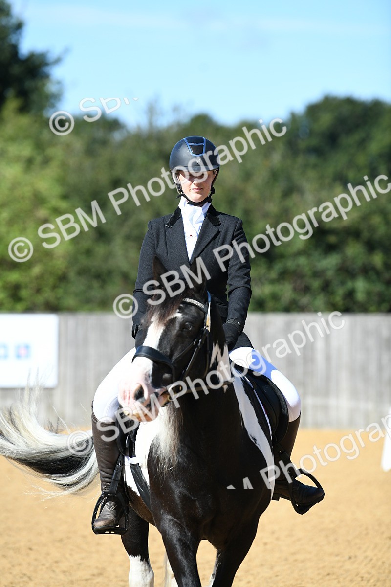 SBM_18204 - D4 - Small Tour Championship - Intro B