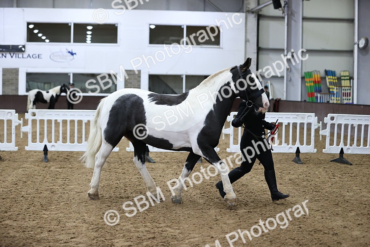 SBM_5339 - Class 32 - In Hand Cob Type