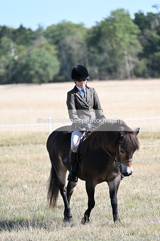 WJ7_3091 - Class 8 Ridden Tack & Turnout
