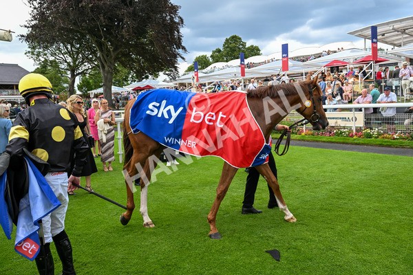 260725-Race 4-Air Force One-0616 - Race 4 3.20pm Sky Bet 'Jump Jockeys' Nunthorpe' Handicap