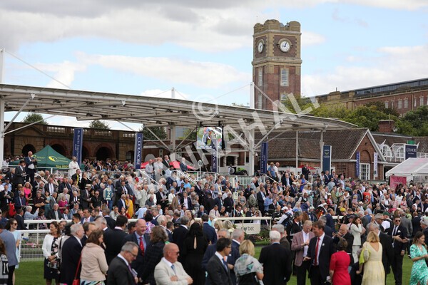yr19082022r4-17 - Race 4 3.35pm Coolmore Wootton Bassett Nunthorpe Stakes (British Champion Series Race)