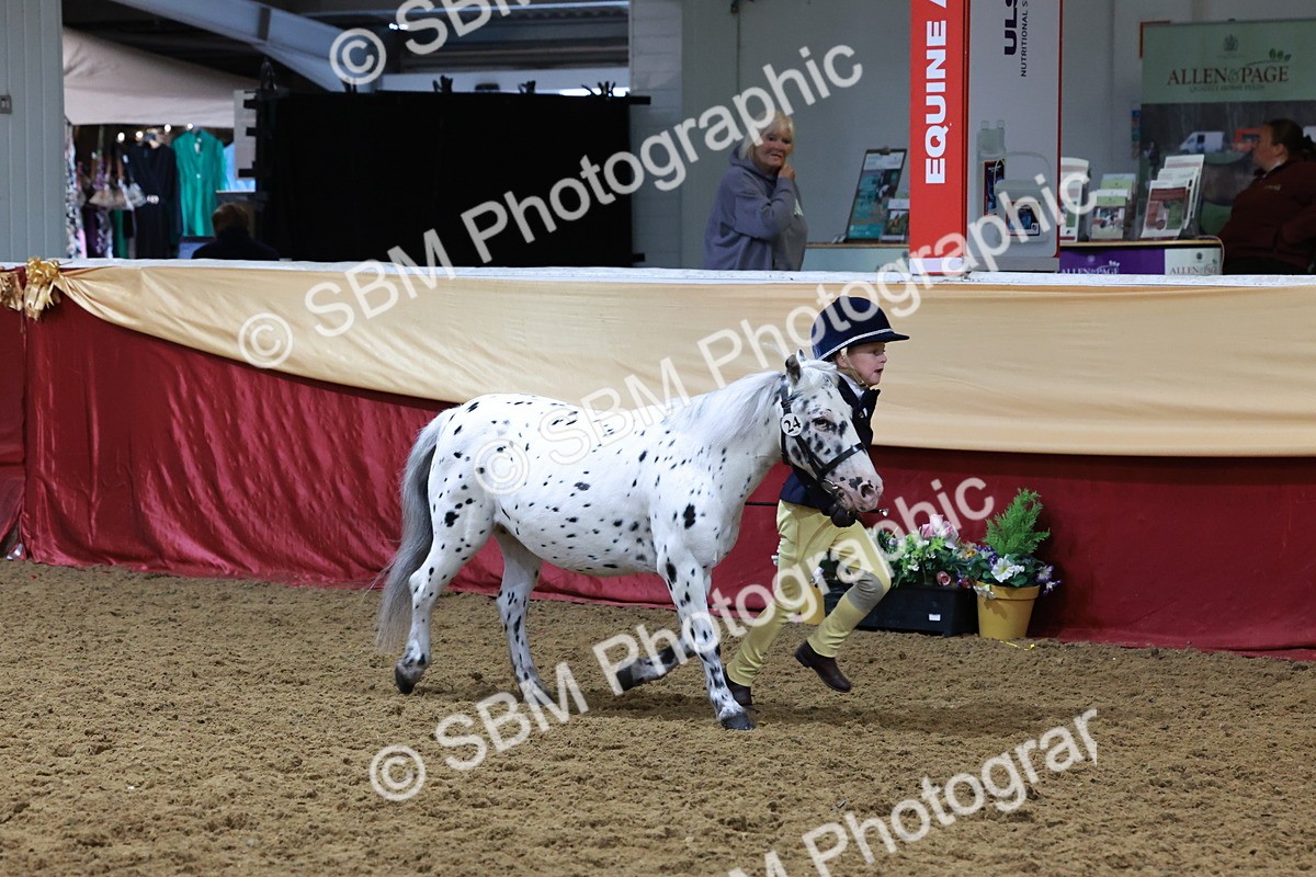SBM_19931 - Class A - Junior Champ 10yr and Under