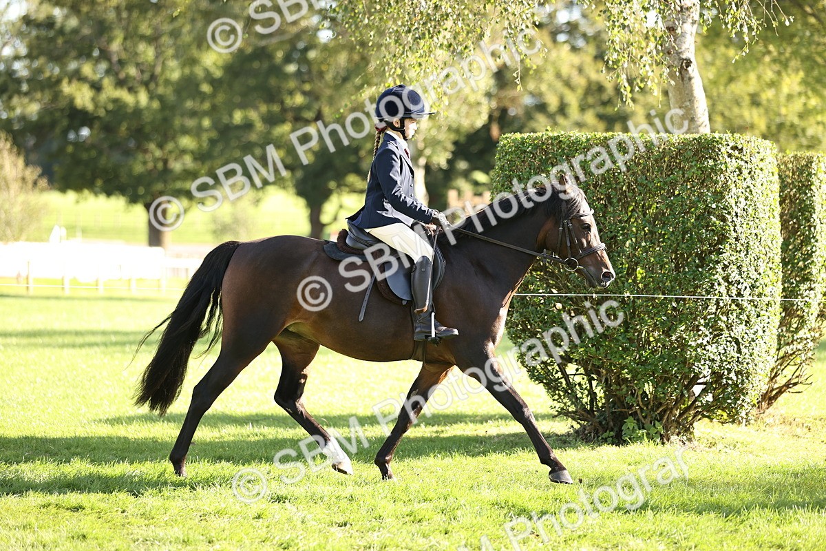 SBM_29345 - S7 - Novice & Newcomers Ridden Pony