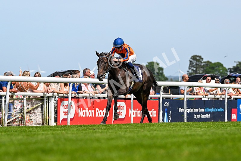 300526-Race 1-Sportingsilvermine-8615 - Race 1 13.45pm Napoleons Casino Hull Handicap