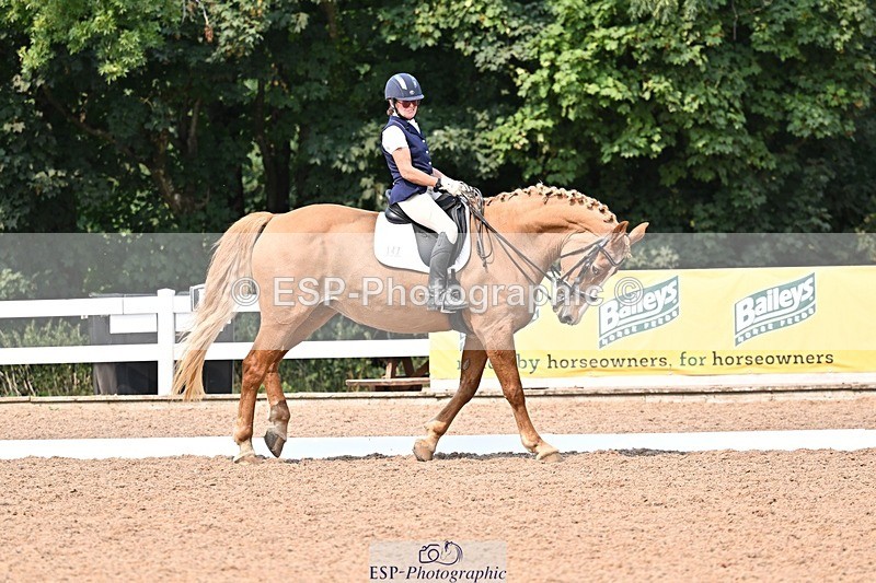 250816-142605-05358 - 147-Gill.AmosCoille.Mor.Pearl