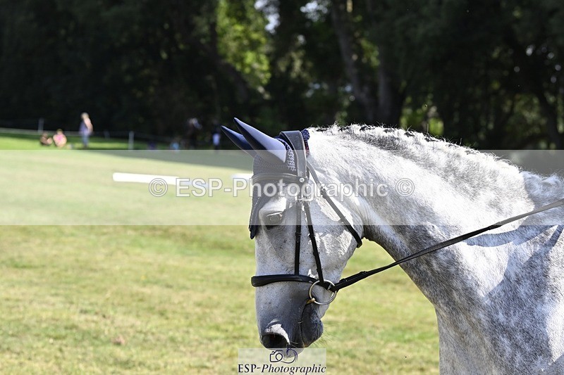 250822A-103951-20360 - DR 10.00 to 11.00