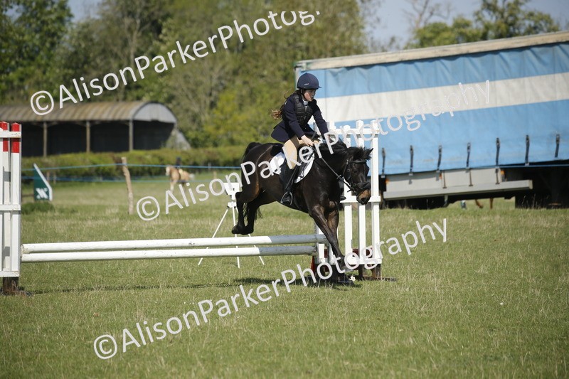 20250427-2096 - Class 13 - Novice Jumping 60cm