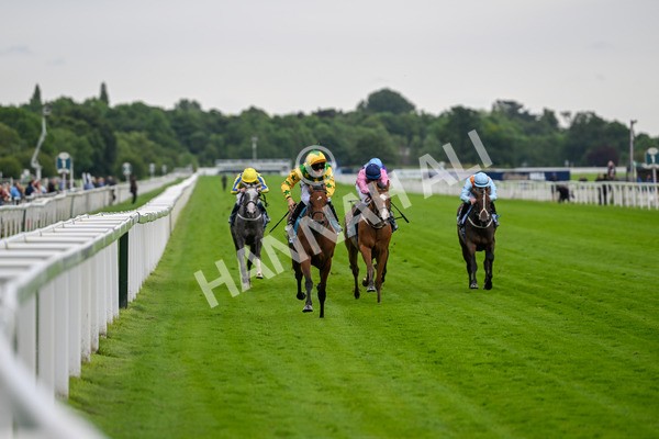 120724-Race 3-Royalty Bay-5948 - Race 3 3.15pm William Hill Keep Your Raceday Positive Irish EBF Fillies' Novice Stakes