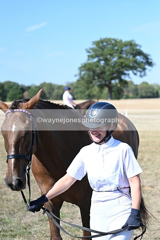 WJ7_1512 - Class 42 Most Handsome Gelding