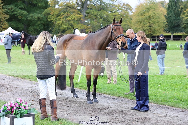 251026A-103833-23159 - F-487-Polly.McHardy