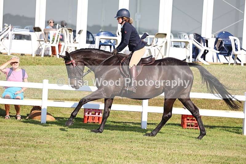 3E7A5628 - Class 2: Rising Star Large Hack/Riding Horse
