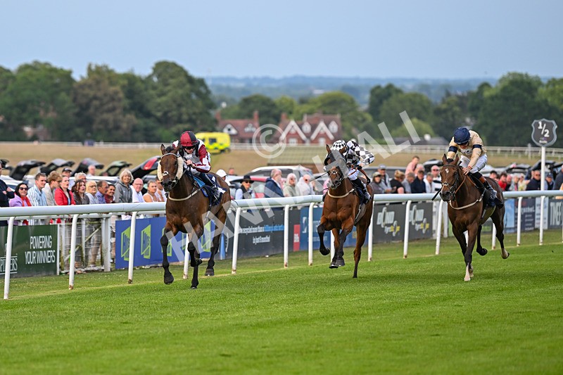 170625-Race 4-Nibras Gold-6738 - Race 4