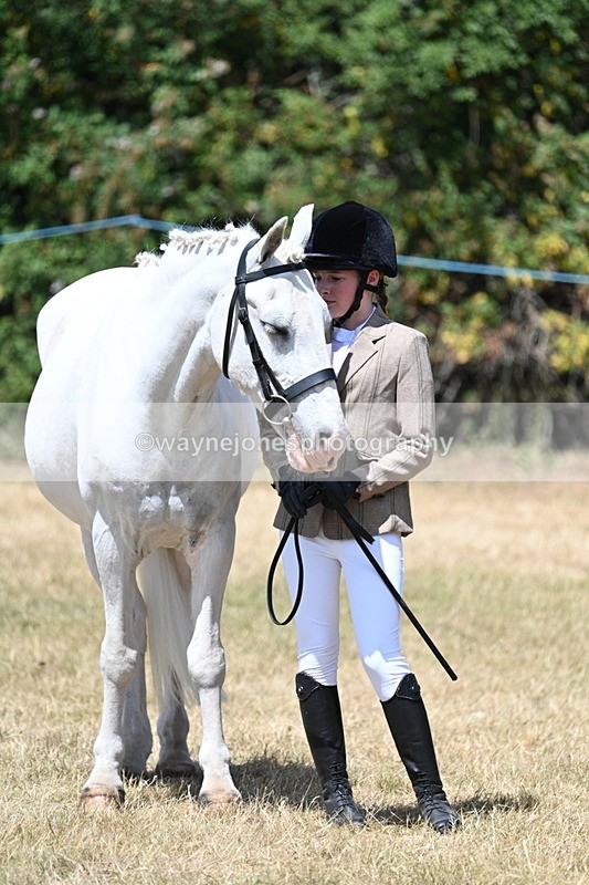 WJ7_2200 - Class 5 Most Handsome Gelding (up to 14.2hh) in hand