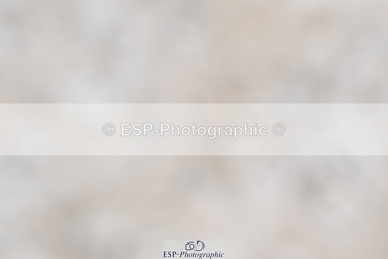 240811-132230-05899 - Adv Medium Silver