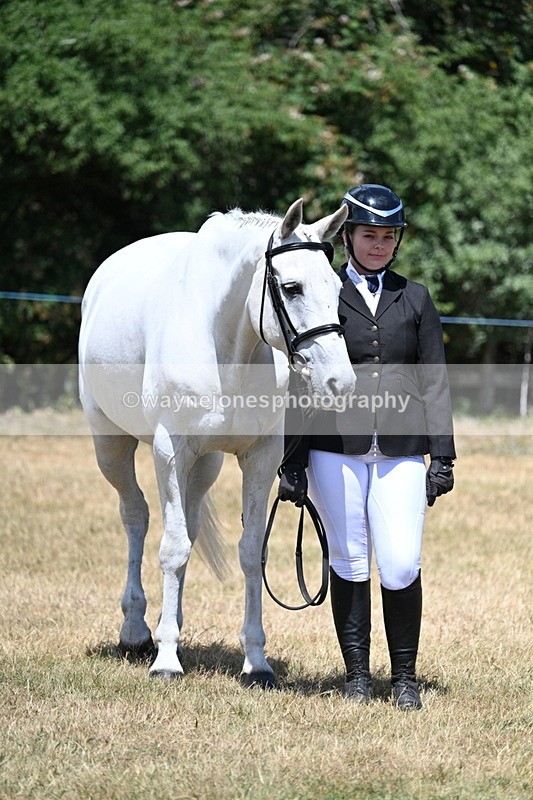 WJ7_2392 - Class 5a Most Handsome Gelding in hand (above 14.2hh)
