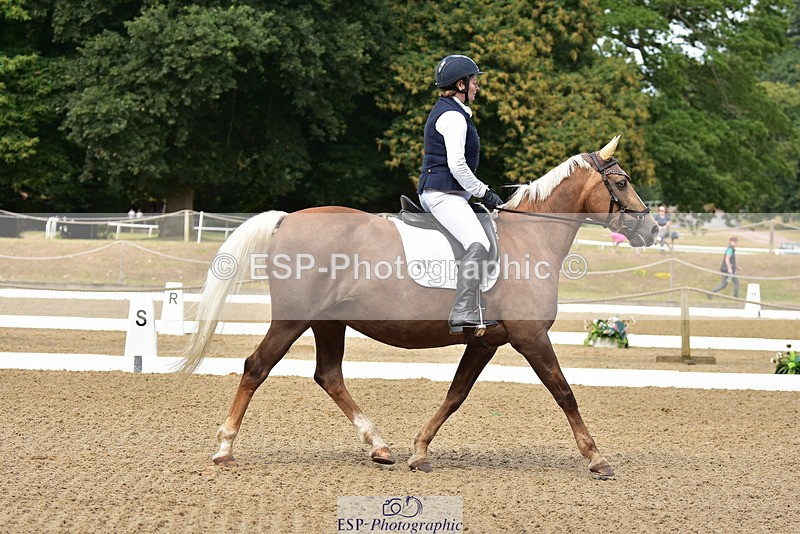 250719A-102042-03629 - 086-Alison.Nicoll-Moondust