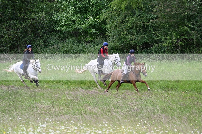 WJ7_8512 - Group 1 10am