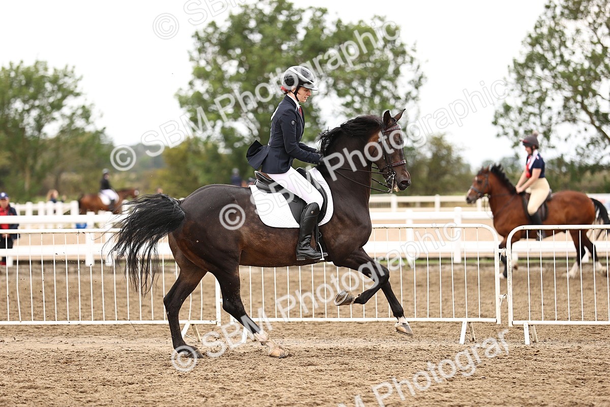 SBM_01426 - Class 54 - Riding Club Horse Pony
